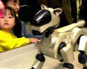 Toys (cont.) Our Times (cont.) AIBO was designed by Sony. The idea was to create a robot that was cute and could interact with people.