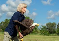 This large scale data helps us understand the threats and identify solutions to eagle conservation.