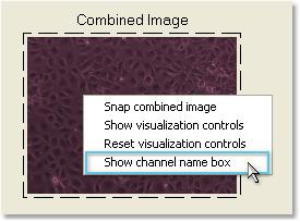 by choosing Snap combined image from the drop menu CHANNEL NAME BOX: The lower right corner of the small image display is a