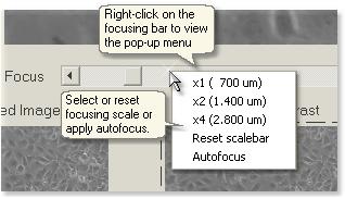 MANUAL FOCUSING Live imaging is automatically launched when program is started. After selecting a well the center position of the selected well is displayed. The image can be blurry before focusing.