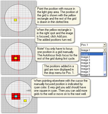 ADD GRID POSITIONS The same can be repeated for several positions in a well. You can select more positions with various grid sizes or combinations of single positions and image grids.