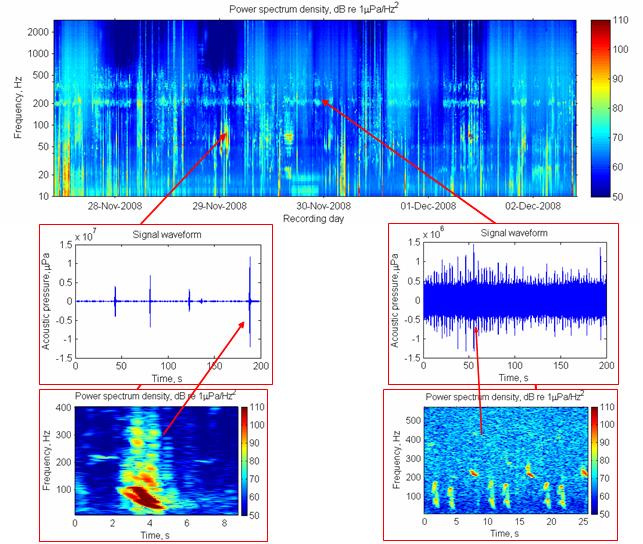 spectrogram of humpback whale calls of broader frequency spectrum, and (3b) 27/11/08 to 02/12/08 where the bottom left panels show the waveform and spectrogram