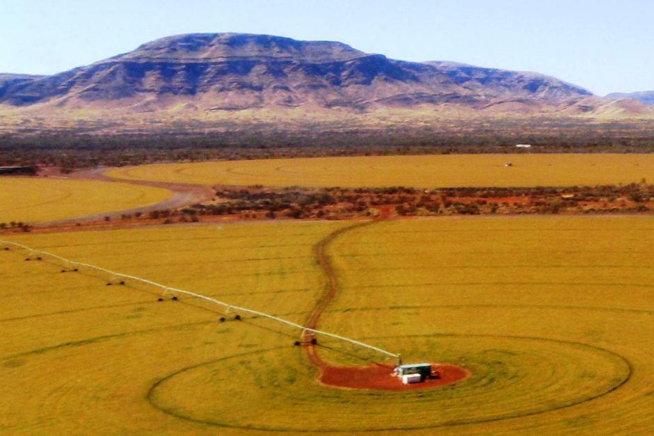 HAMERSLEY AGRICULTURAL PROJECT (HAP), PILBARA PHOTO: An aerial photo of the pivot at Rio Tinto s Hamersley Agricultural Project (HAP) on Hamersley Station.