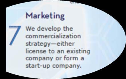 Commercialization Strategy Start new company (~ 10%) License to