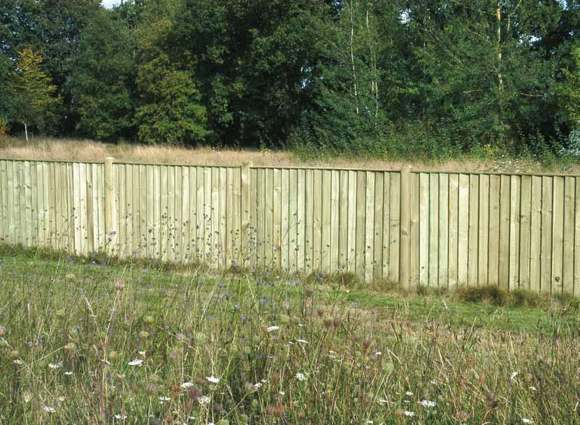 (Brown) Improved for 2012 Featheredge
