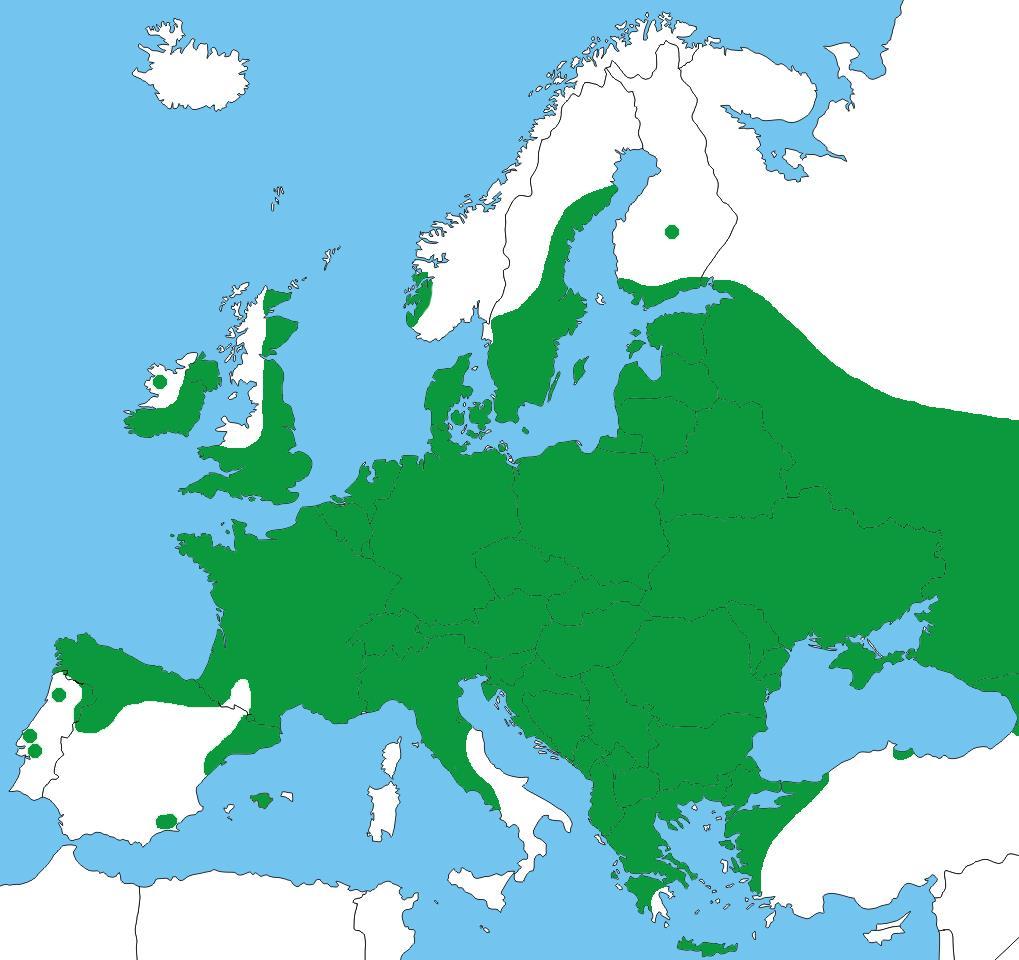 The distribution of Nathusius pipistrelle covers vast parts of Europe.