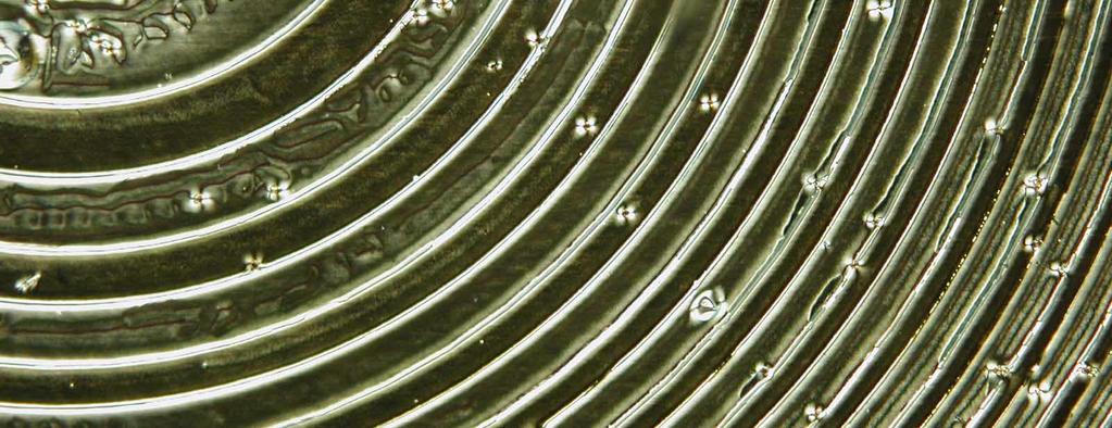 Figure 3 shows a microscope photo of the PSCOF Fresnel lens sample observed under crossed polarizers, where the rubbing direction of the LC cell is parallel to the transmission axis of the polarizer.