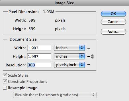 Fig 12.1 The Image Size dialog box with Resample Image unchecked. Notice that the pixel dimensions are not changeable.