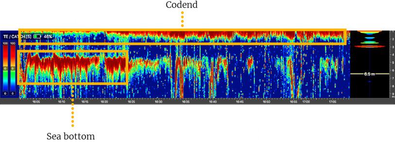 Below is an example of an echogram image. When the codend is not totally full, you can see the bottom of the sea.