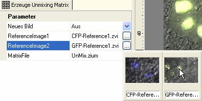 Select the input images accordingly: CFP-Reference1 as ReferenceImage1, GFP- Reference1.zvi as ReferenceImage2.