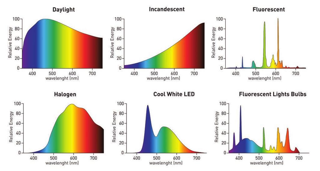 Daylight Incandescent Fluorescent wavelength ( nm) wavelength ( nm) wavelength ( nm) Halogen Cool white LED Fluorescent Light Bulbs wavelength ( nm) wavelength ( nm) wavelength ( nm) FIG.