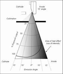 Cont d.. Anode Heel Effect Density is greater near cathode end.