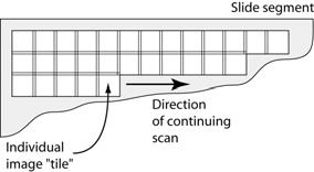 Conventional whole slide scanning technologies