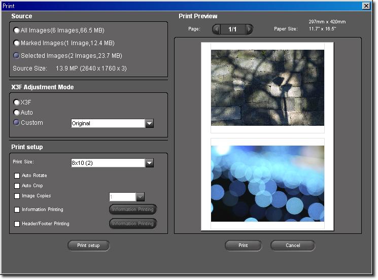 1 0 P R I N T I N G A N D S L I D E S H O W 10.1 Printing images in the Main or Review windows To print images, click Print Button in the Main or Review Window or select file->print.