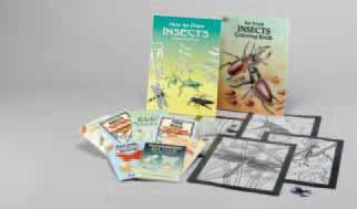 Insects Coloring Book plus 4 stained glass coloring sheets How to Draw