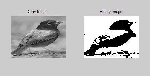 We perform image enhancement to enhance the contrast of grey image using Histogram equalization method. Histogram is the graphical representation of the distribution of data.