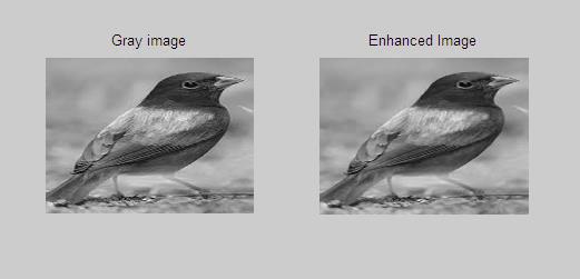 1 RGB image to gray scale image Convert original color image to gray scale image.