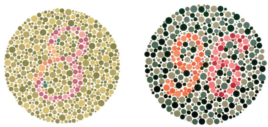 Figure 3.7The Ishihara Color Test Color blindness = lacking a chemical that produces specific color sensitivities in the cone.