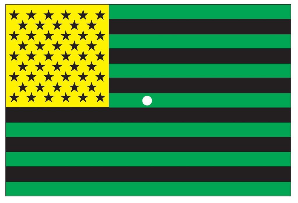 Figure 3.6 Color Afterimage Stare at the white dot in the center of this oddly colored flag for about 30 seconds. Now look at a white piece of paper or a white wall.