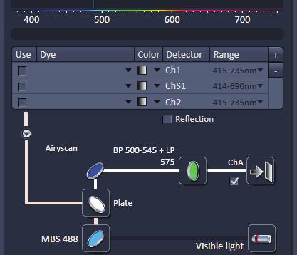 LSM 880 with Airyscan: Easy of use 3 different modes of Airyscan detector LSM 880 with Airyscan: Easy of use SR Mode Detector View SR: Superresolution (up to