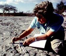 hominid Mary Leakey: 1978: Found