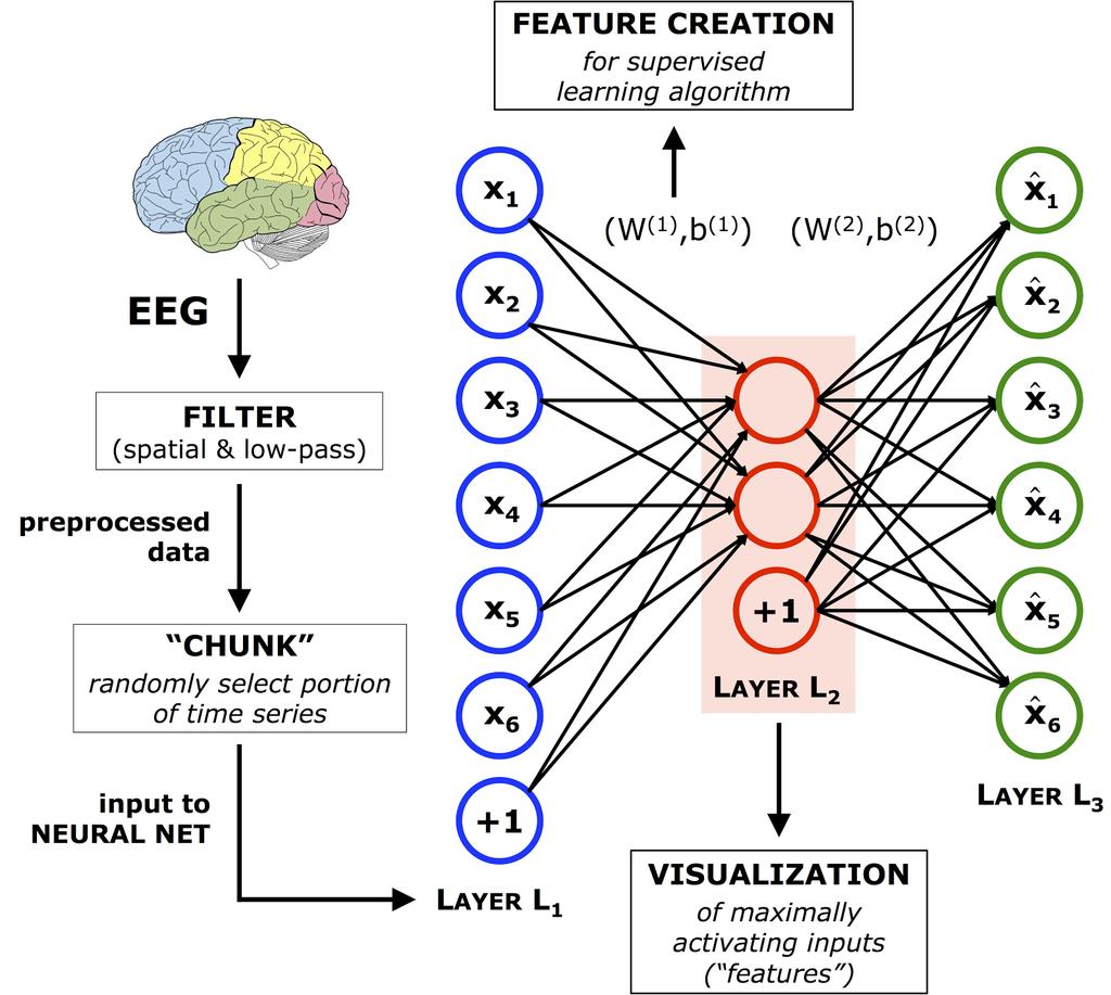 Figure 3 displays a schematic of the autoencoder architecture and EEG preprocessing.