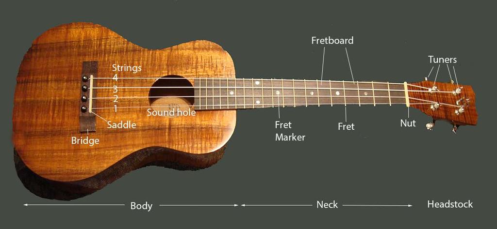 Parts of the baritone ukulele Ukulele Basics Open Strings Tuning the ukulele to itself ret the 4 th string at the 5 th fret and compare to 3 rd string. Use 4 th fret for 3 rd string, 5 th for 2 nd.