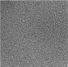 FEG images of carbon film 0.