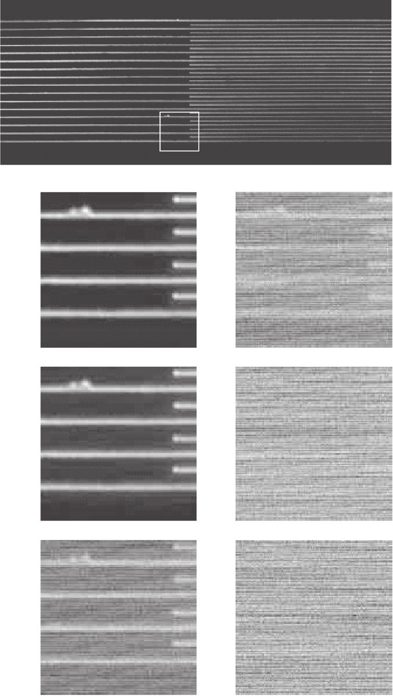 Points, Pixels, and Gray Levels: Digitizing Image Data Chapter 4 75 Other characteristics of the photodetector, such as the presence of measurement noise or imperfect digitization, can only move the