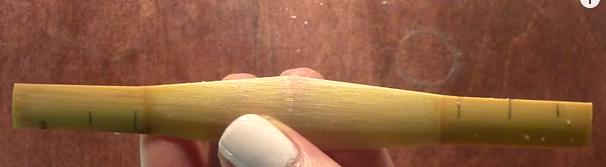 5. (Note: Other reed- makers may bevel with sandpaper while the reed is unfolded.
