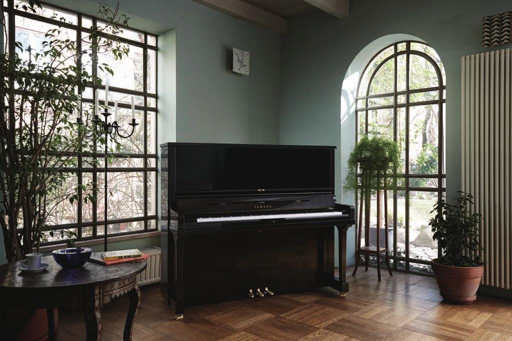 SE series SE Series pianos are crafted for players who appreciate the rich, deep, warm tones of a European acoustic piano.