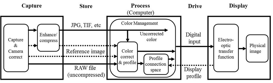 Figure 1: Functional flow diagram of a generic digital color image process, from image capture to a computer monitor.
