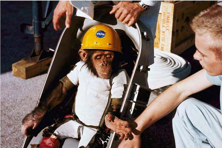 History In the 1960 s, NASA launched a chimpanzee into space