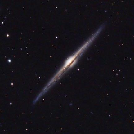 C38 (Needle Galaxy) You live and learn. At any rate, you live. Douglas Adams First Light Assignments 213 Equipment: Refractor, 132 mm aperture, 916 mm focal length Reducer / flattener (0.