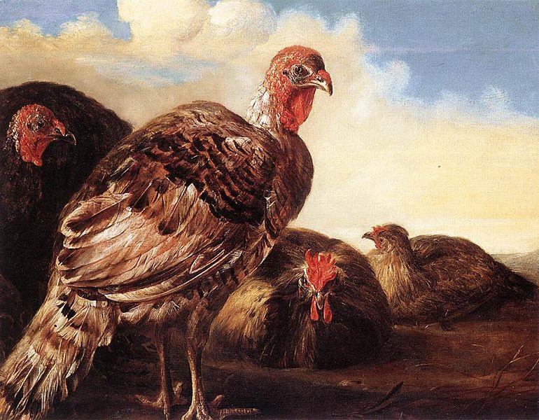 In the second half of the 17 th century, Aelbert Cuyp did the picture above called Domestic Foul. Notice his placement of the turkeys.