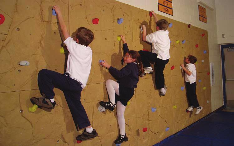 Nicros-EasyWall INSTALLATION MANUAL Thank you for purchasing a Nicros-EasyWall climbing wall panel system. Nicros- EasyWall is the best simple-to-install climbing wall product available.