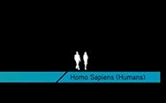 HOW DID THE FIRST HUMANS LIVE? Video Talk / David Christian The earliest humans lived in the Paleolithic era.