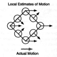 Integrating Local Motion