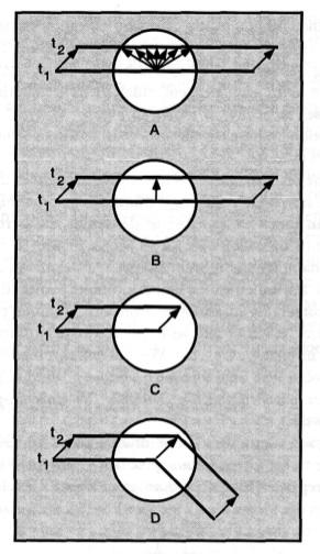 Short-range VS. Long-range Apparent Motion Short-range motion system is responsible for performance on Random-dot Kinematogram.