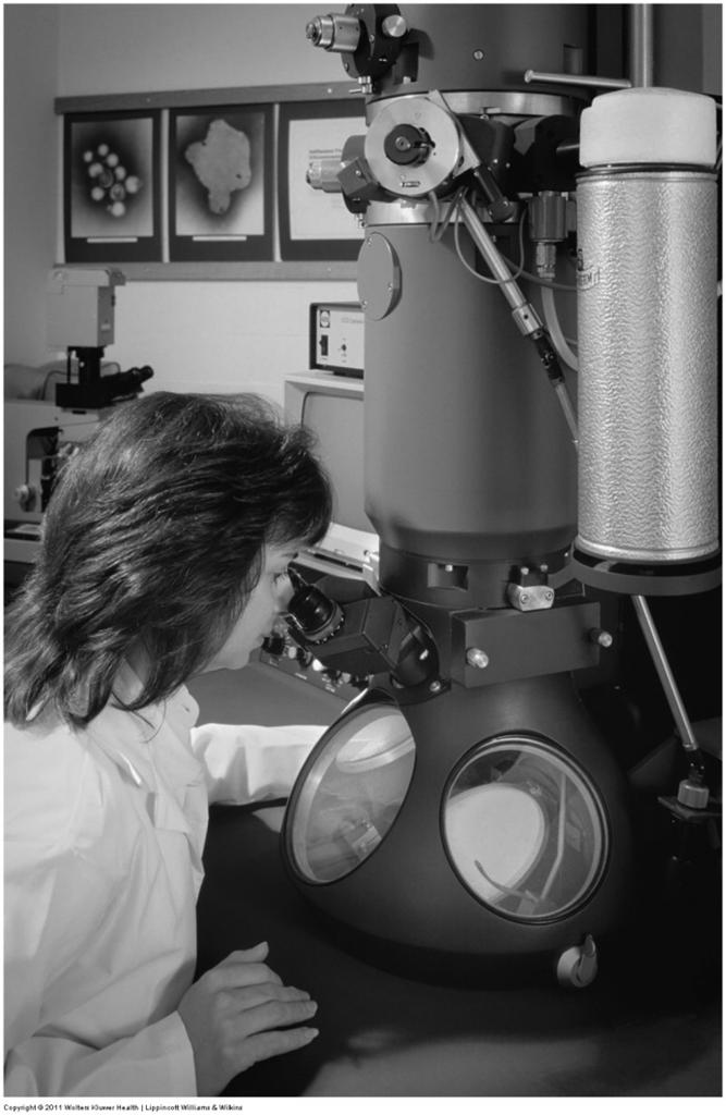 5/23/2011 Transmission Electron Microscope Uses an electron gun to fire a beam of