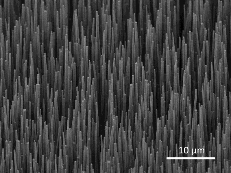 Carbon Nanotubes A Game-Changer for IR Absorption