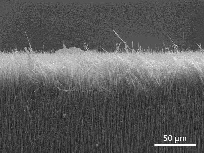 of Nanolab SEM image courtesy of Precision Imaging