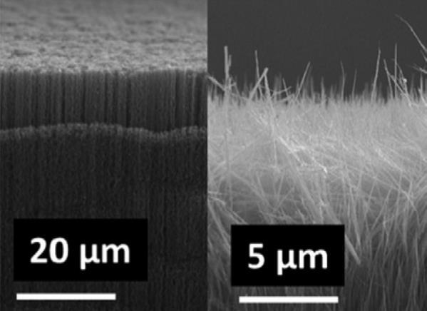 IR Reflectance of Vertically Aligned Carbon Nanotubes CVD