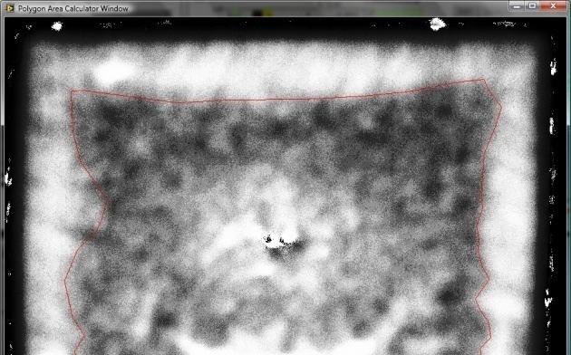 Ultrasonic C-scan images of CC