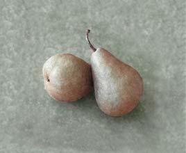 402 LESSON 12 Creating Special Effects 3 In the toolbox, select the Crop tool ( ). Hold down Shift to constrain the shape to a square and drag around the pears.