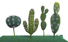 97 Mini Cactus Picks 7 picks sold