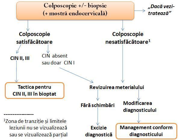 Schema 6. Managementul pacientelor în caz de HSIL. (Wright TC et al. 2001 consensus guidelines for the management of women with cervical cytologycal abnormalities. JAMA 2002;287:2120-29).