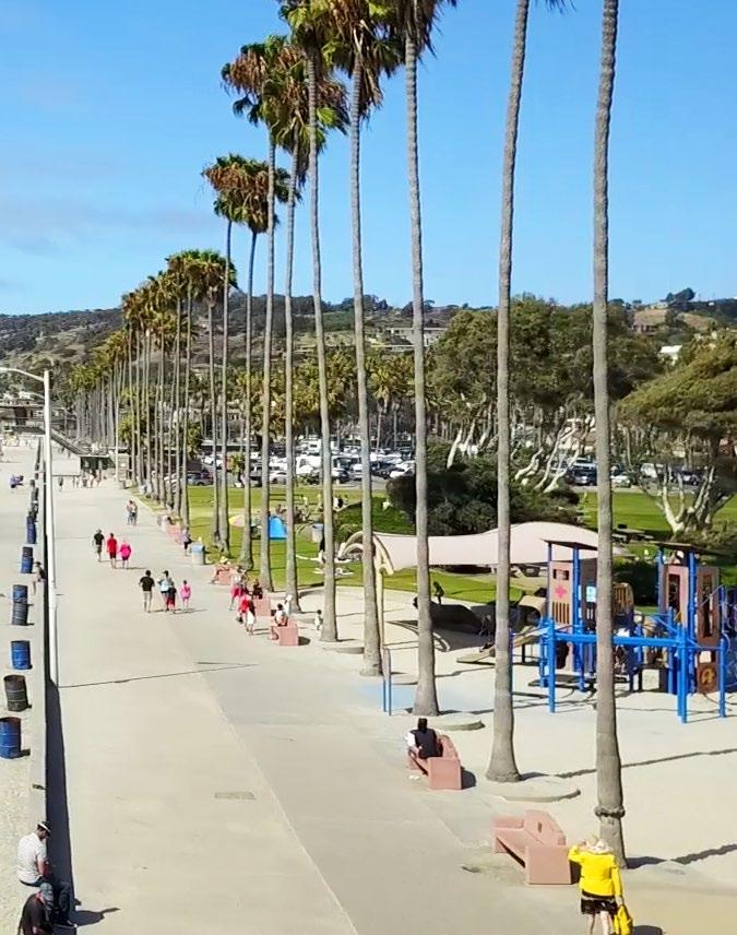 LA JOLLA A DESTINATION FOR BEACHES v La Jolla s grandeur is nowhere more evident than along its coastline, where local and visiting beachgoers flock to the area to