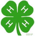 Mini 4-H Developed by Area VII Extension Youth