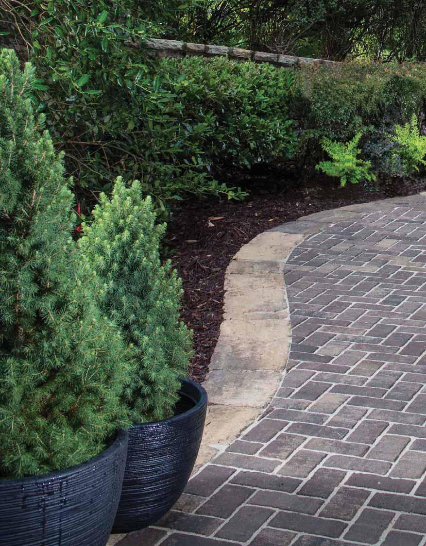 Walkways Create a warm and welcoming path for your guests with Belgard s wide variety of shapes, sizes and colors. NEW!